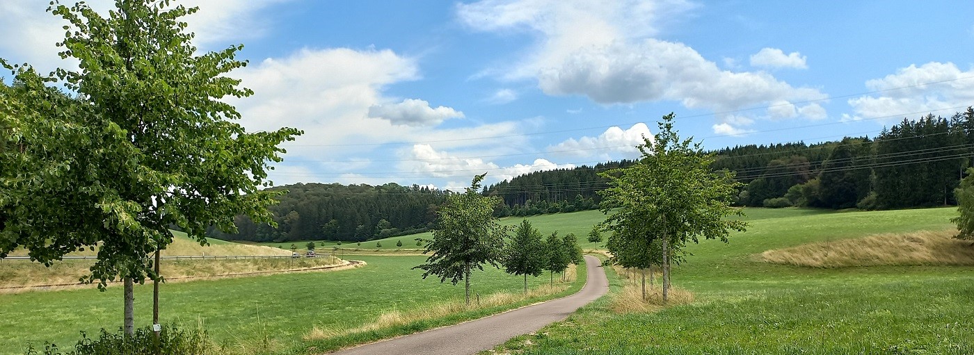 Allee in 2019